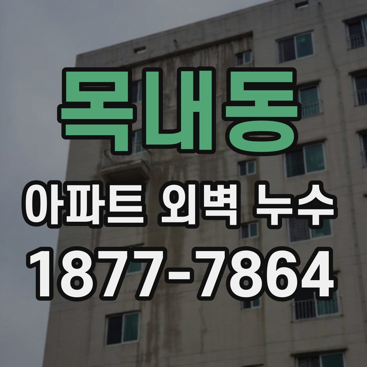 목내동 아파트 외벽 누수 전문 진단이 필요한 경우