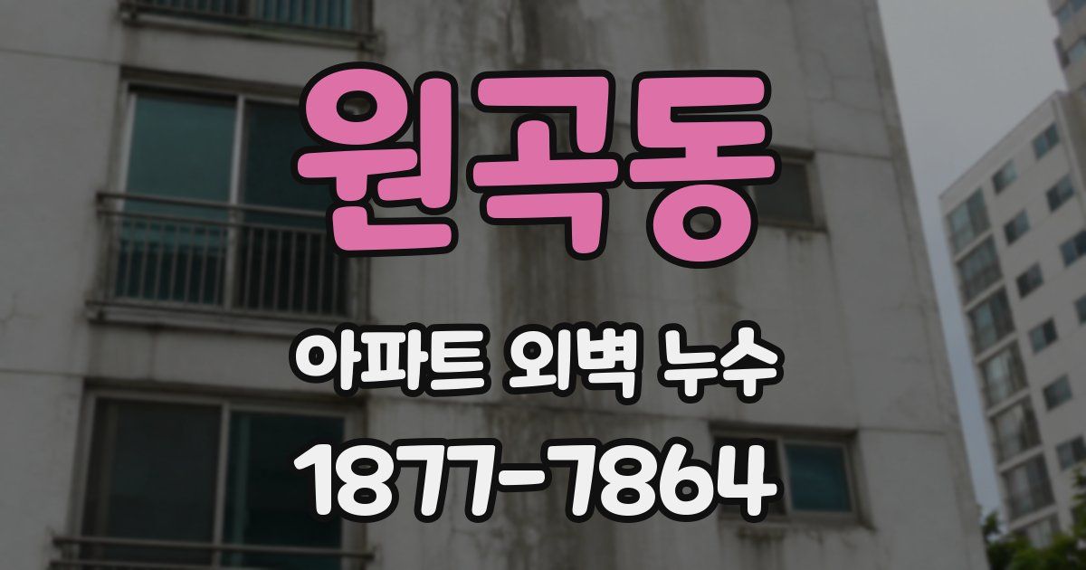 원곡동 아파트 외벽 누수