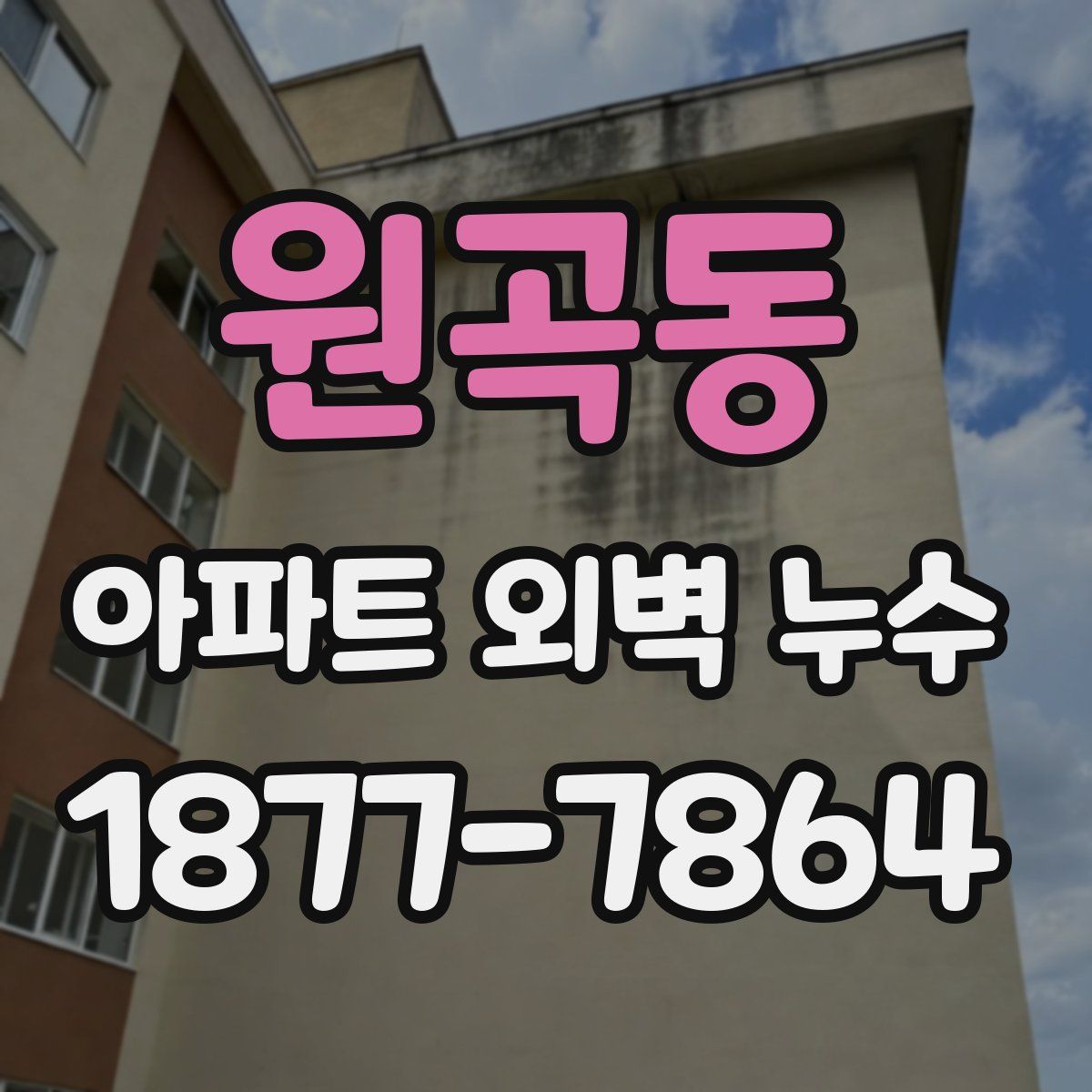 원곡동 아파트 외벽 누수
