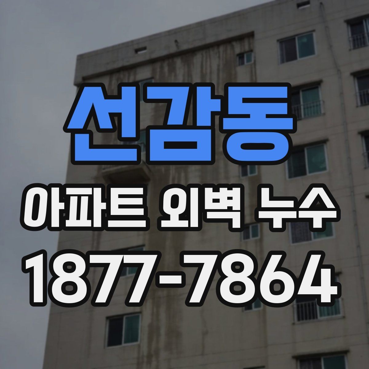 선감동 아파트 외벽 누수 발생 시 세대가 할 일