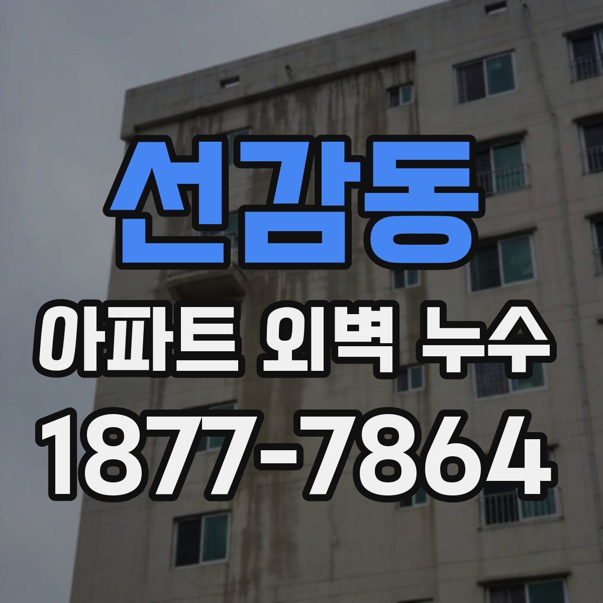 선감동 아파트 외벽 누수