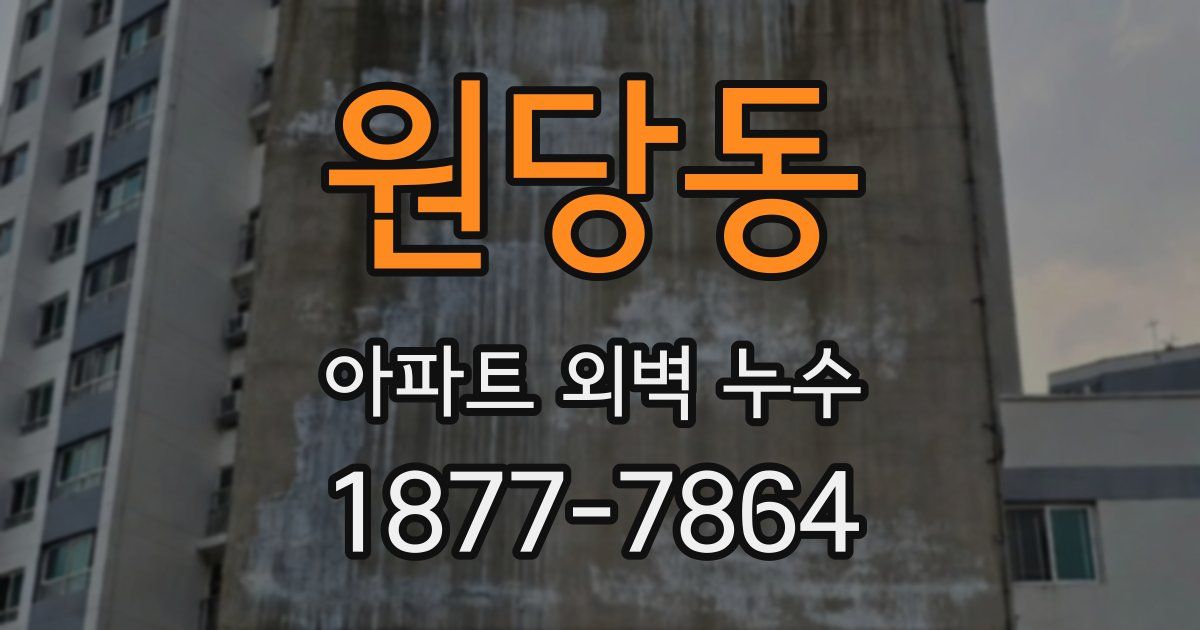 원당동 아파트 외벽 누수