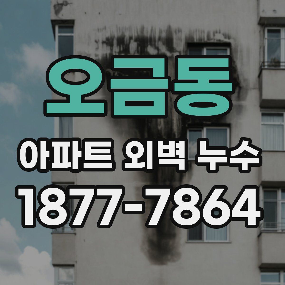 오금동 아파트 외벽 누수