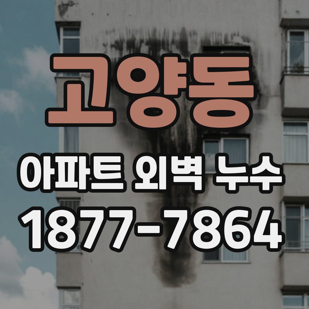 고양동 아파트 외벽 누수