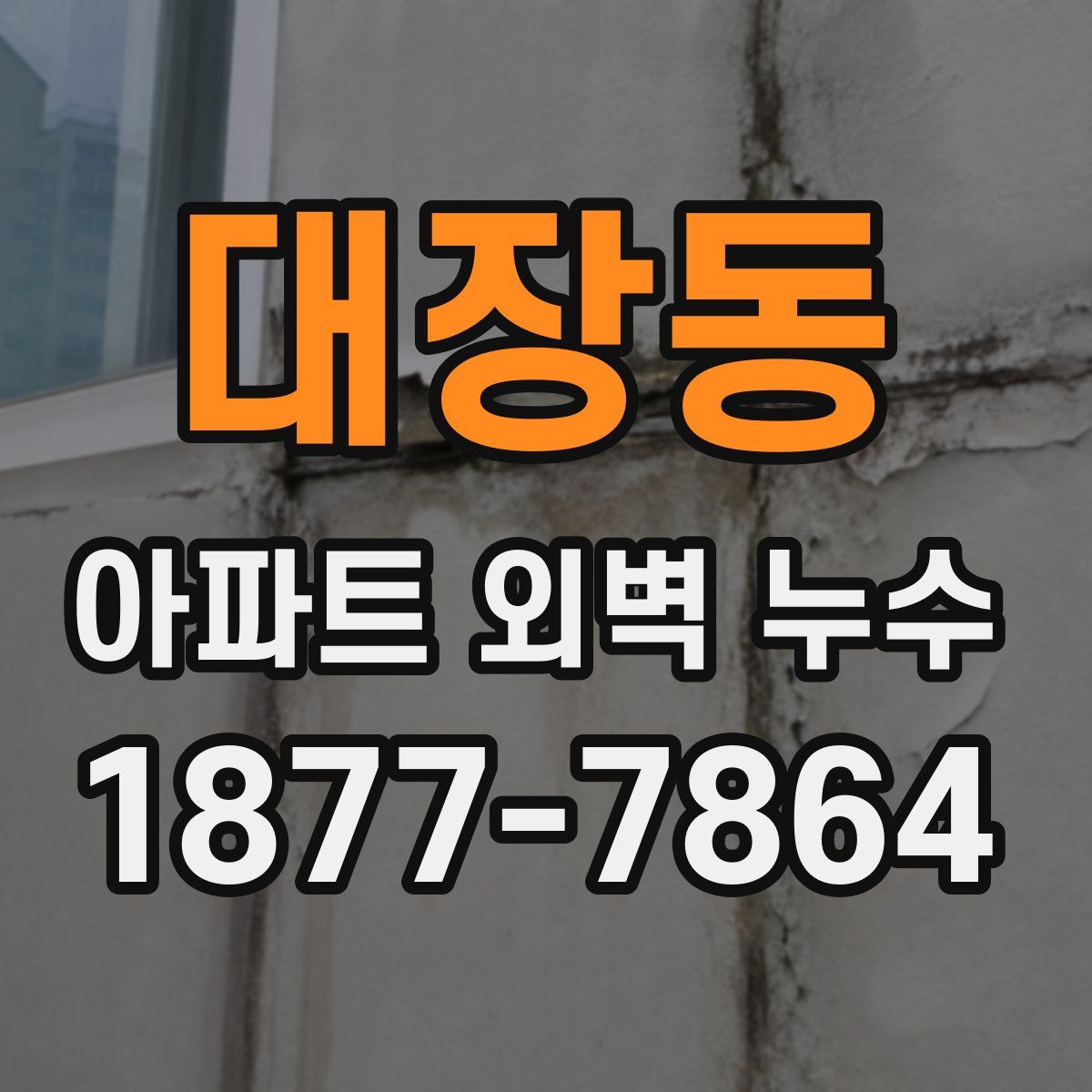 대장동 아파트 외벽 누수