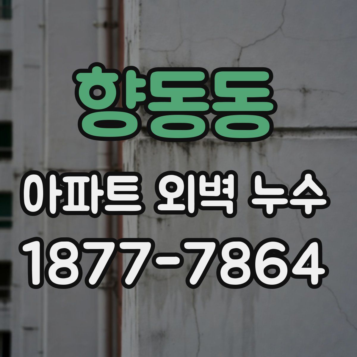 향동동 아파트 외벽 누수