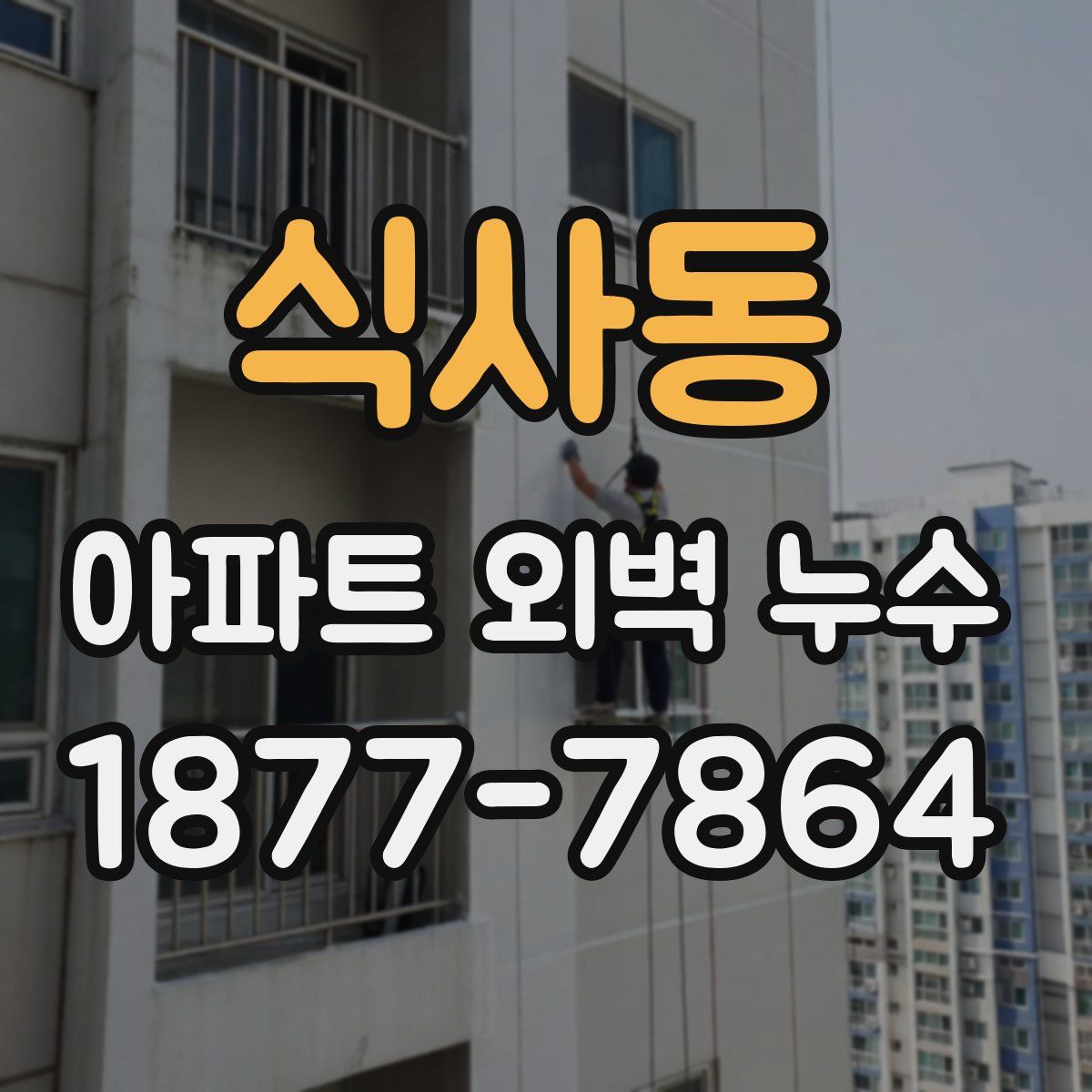 식사동 아파트 외벽 누수