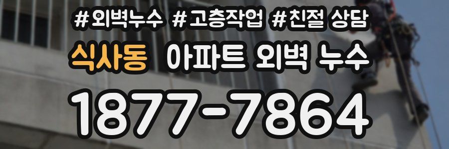 식사동 아파트 외벽 누수