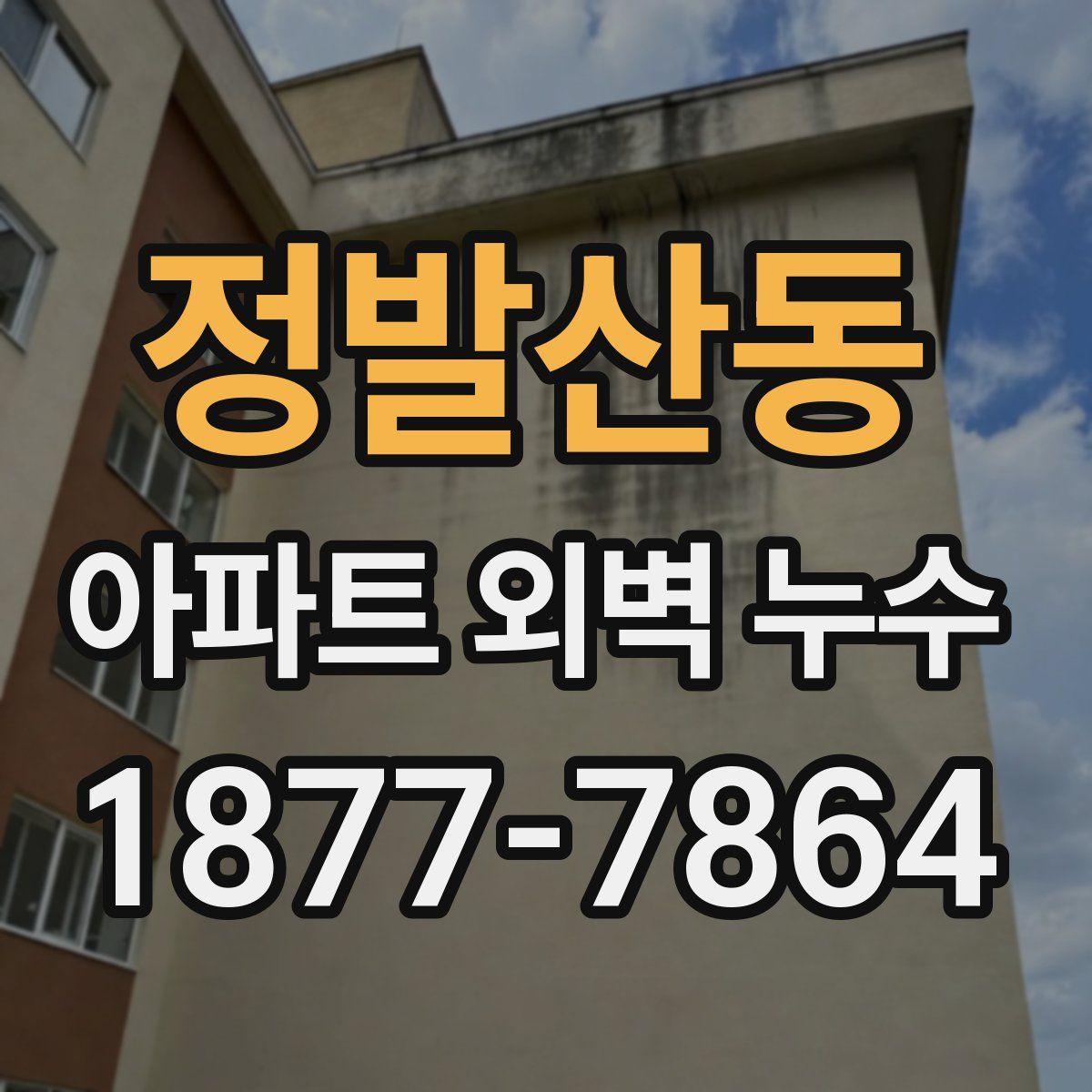 정발산동 아파트 외벽 누수