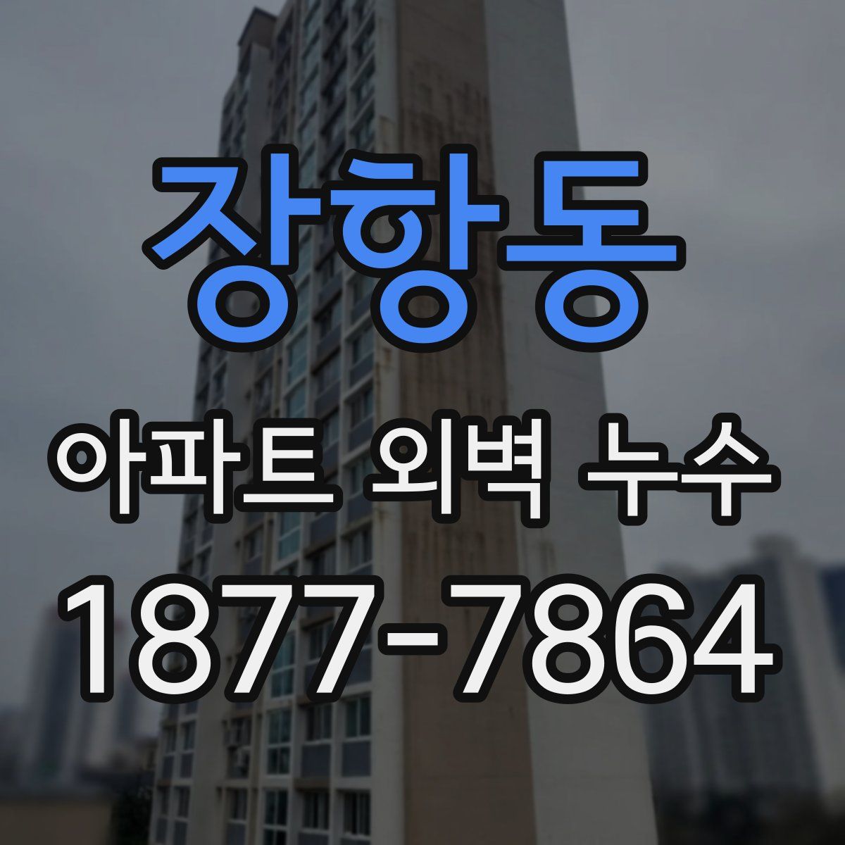 장항동 아파트 외벽 누수