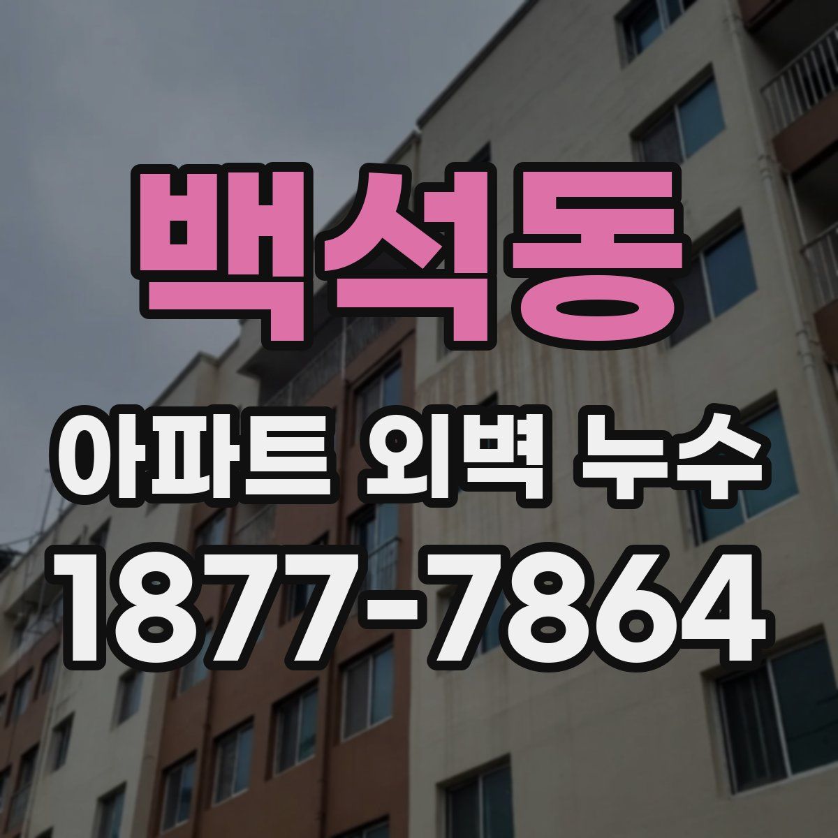 백석동 아파트 외벽 누수