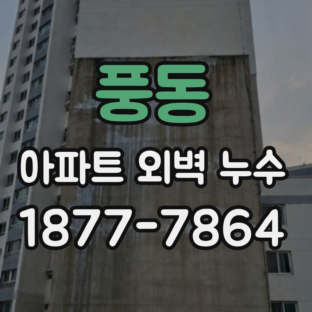 풍동 아파트 외벽 누수