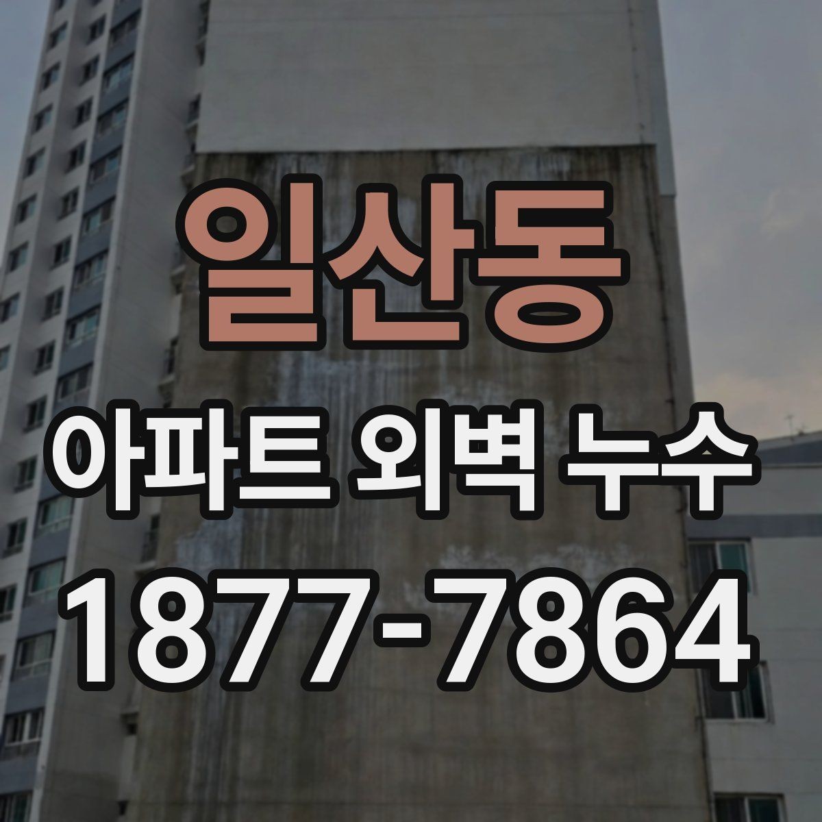 일산동 아파트 외벽 누수 발생 위치에 따른 점검 우선순위