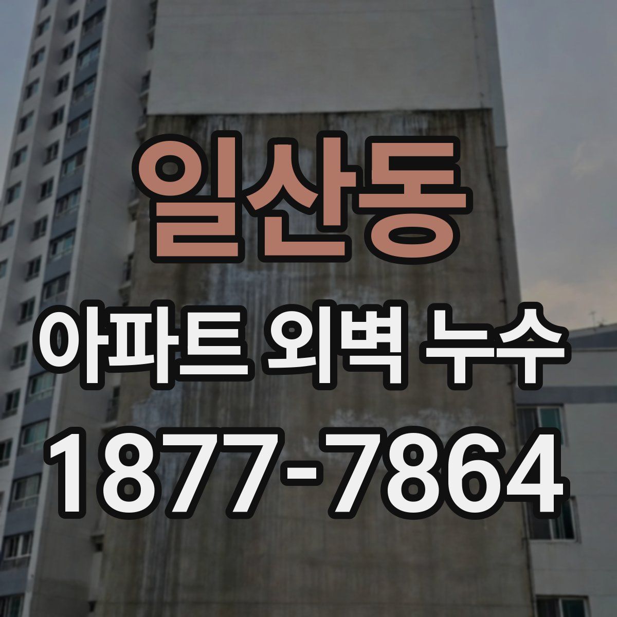 일산동 아파트 외벽 누수