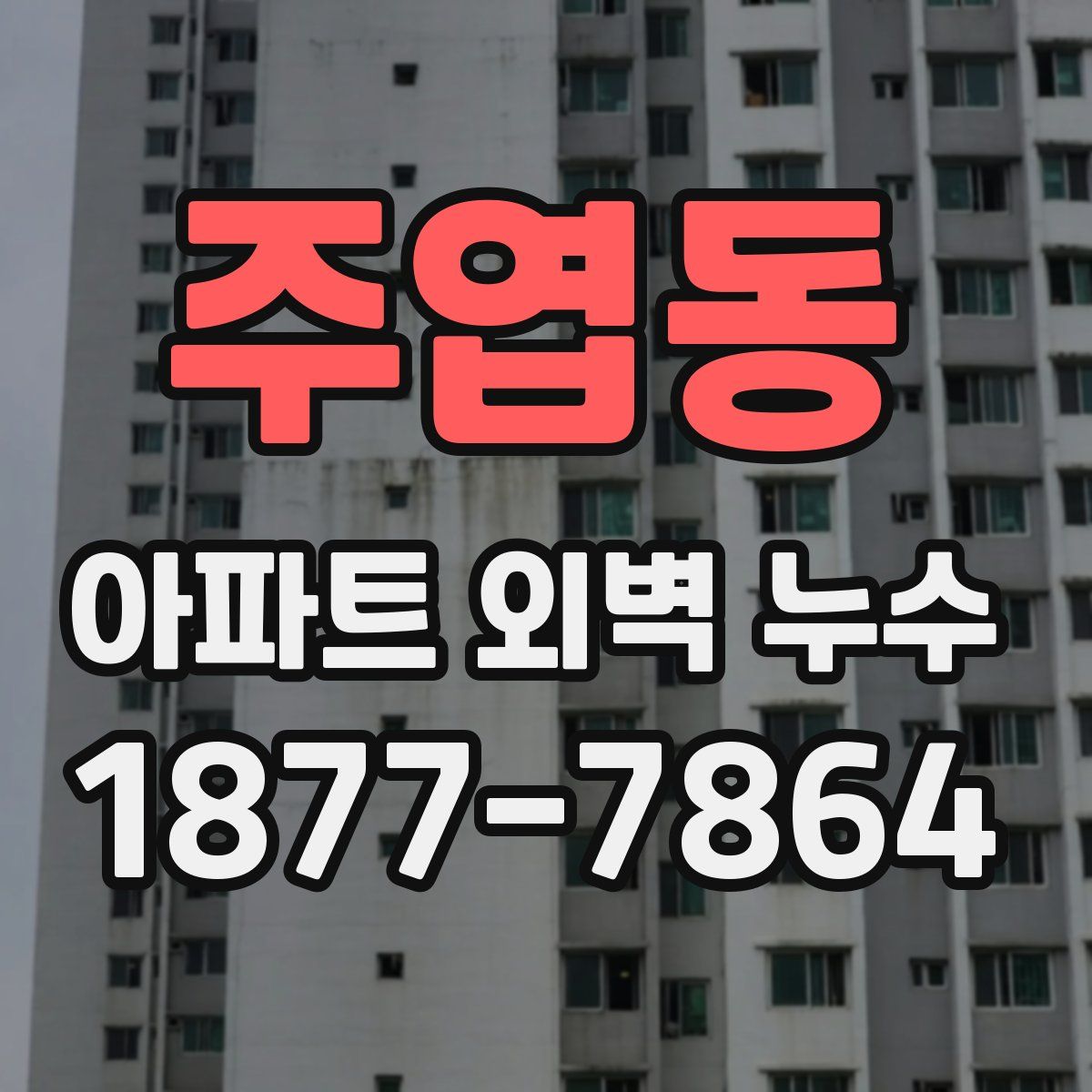 주엽동 아파트 외벽 누수