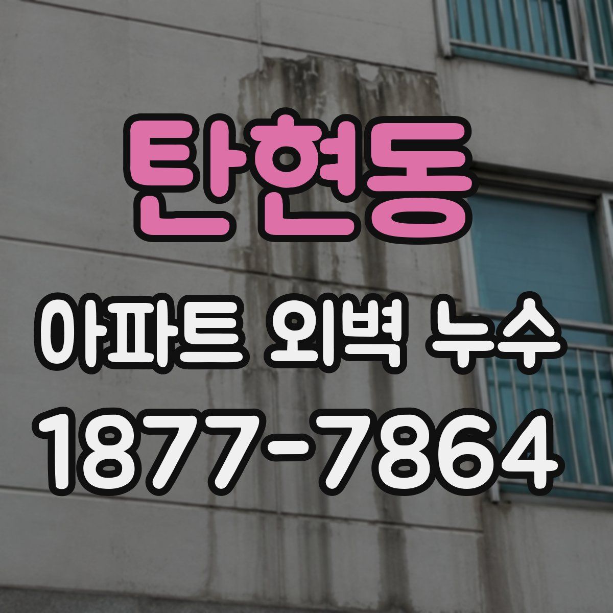 탄현동 아파트 외벽 누수