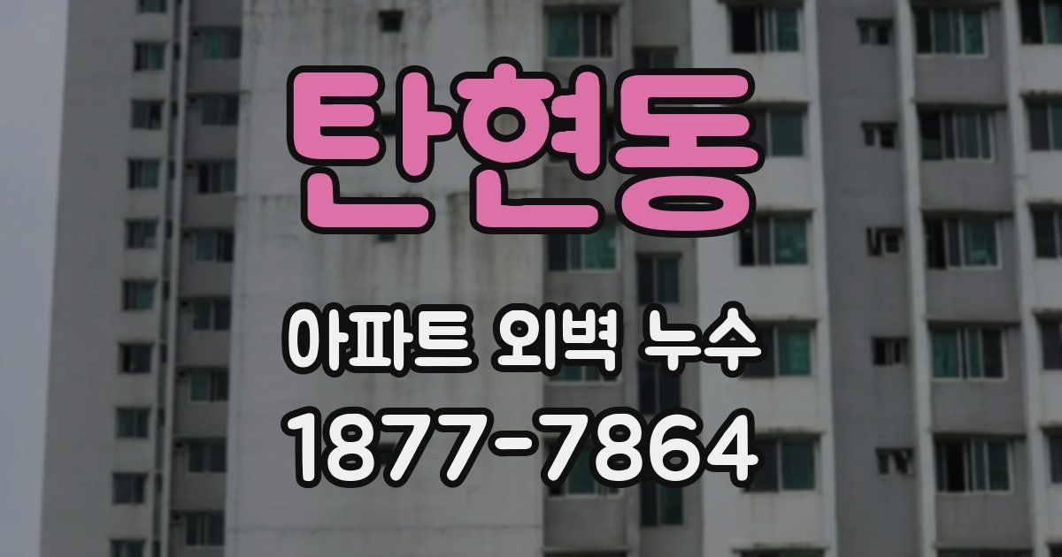 탄현동 아파트 외벽 누수