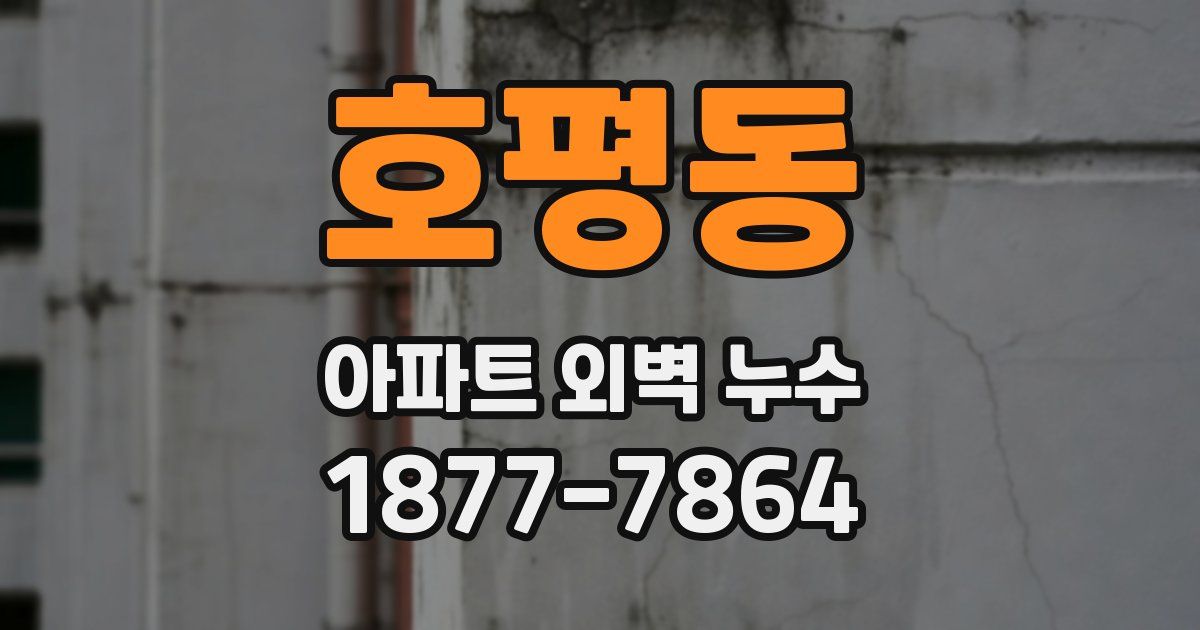 호평동 아파트 외벽 누수