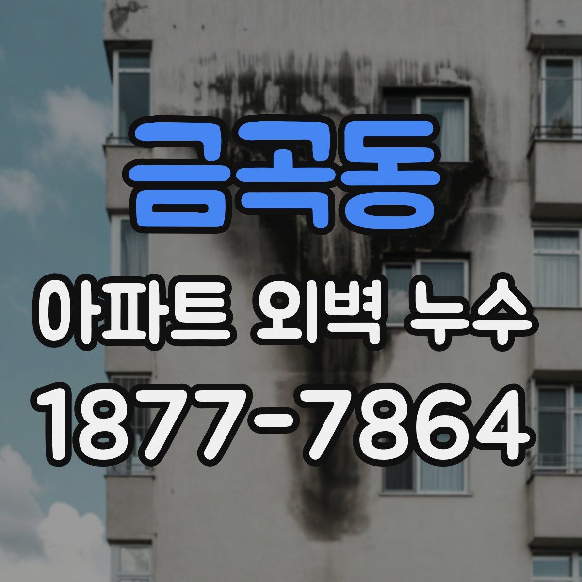 금곡동 아파트 외벽 누수