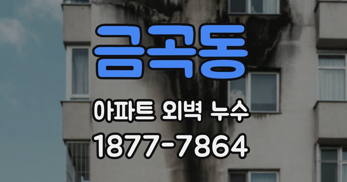 금곡동 아파트 외벽 누수