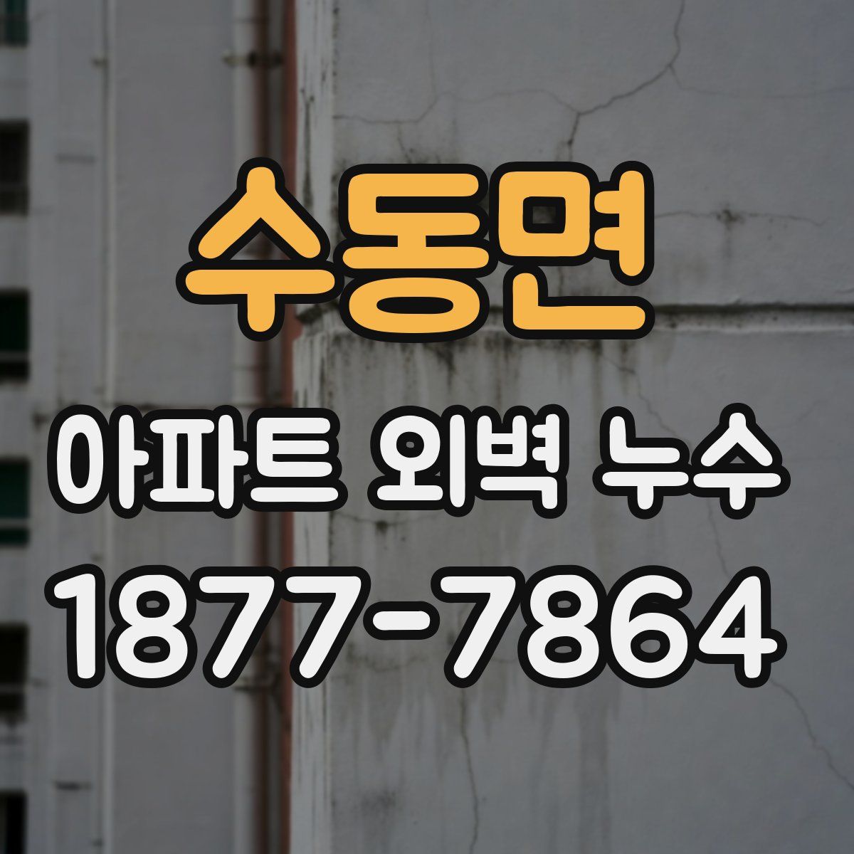 수동면 아파트 외벽 누수