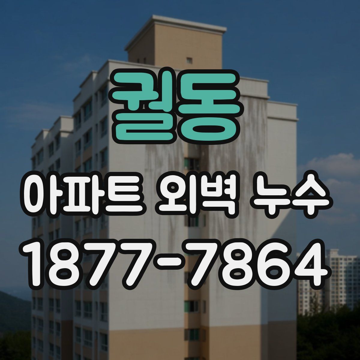 궐동 아파트 외벽 누수