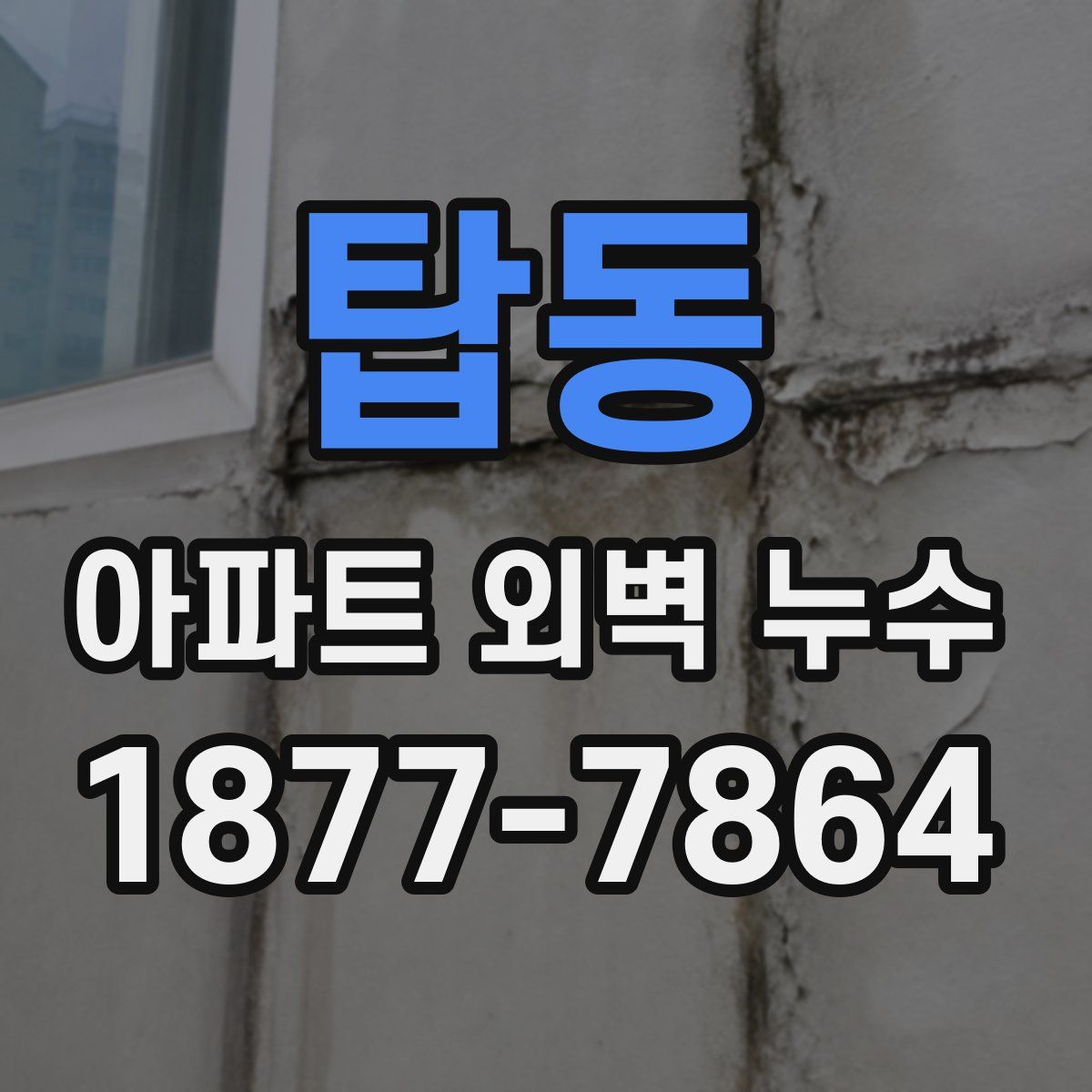 탑동 아파트 외벽 누수
