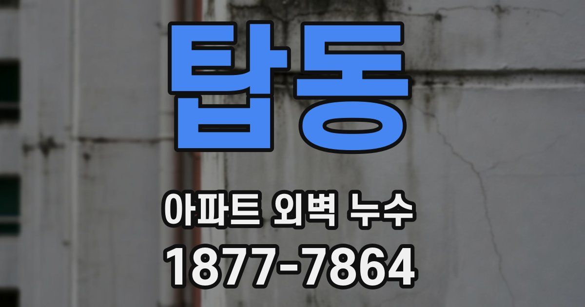 탑동 아파트 외벽 누수