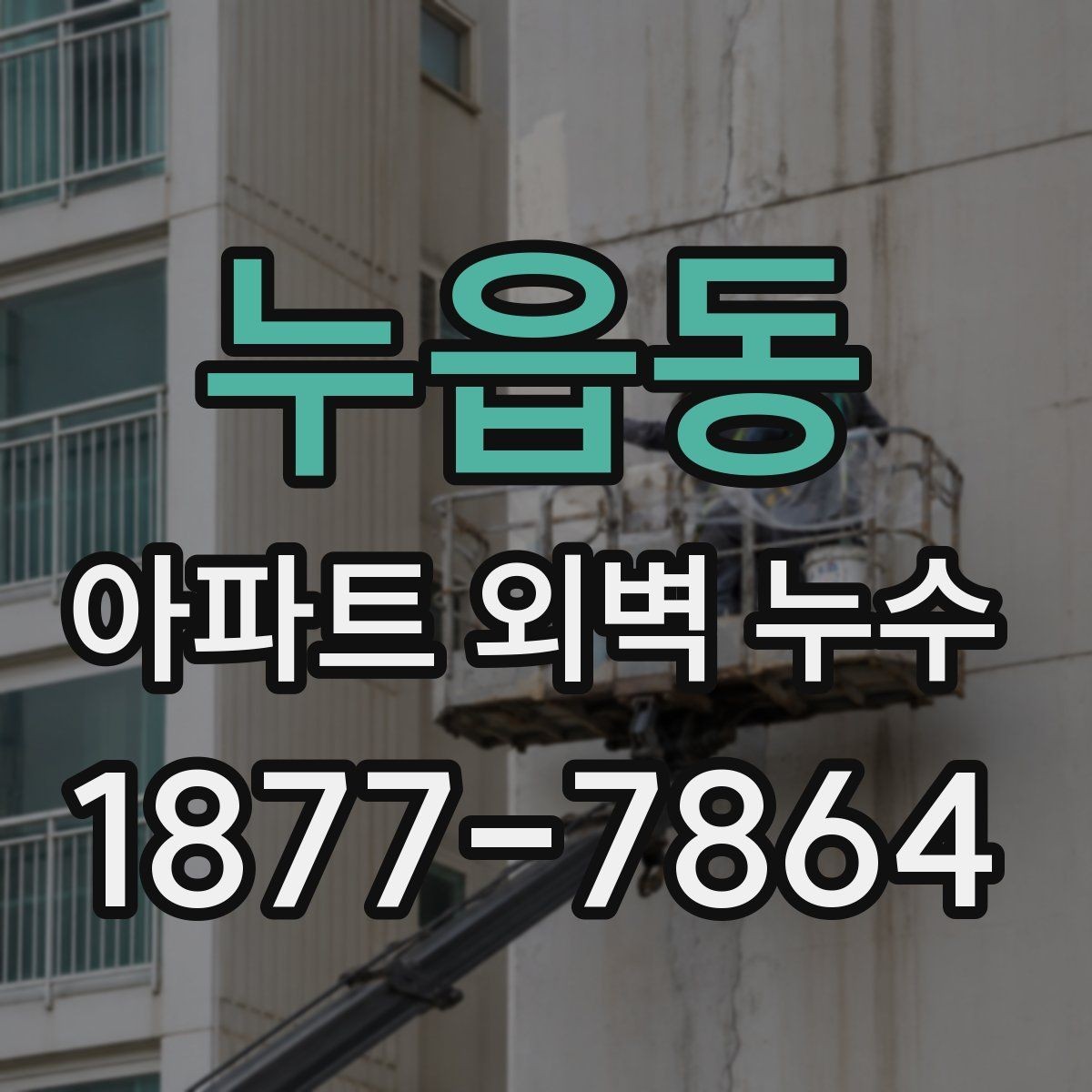 누읍동 아파트 외벽 누수 의심 구간을 찾는 실전 방법