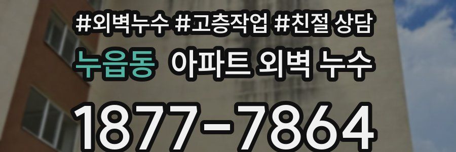 누읍동 아파트 외벽 누수