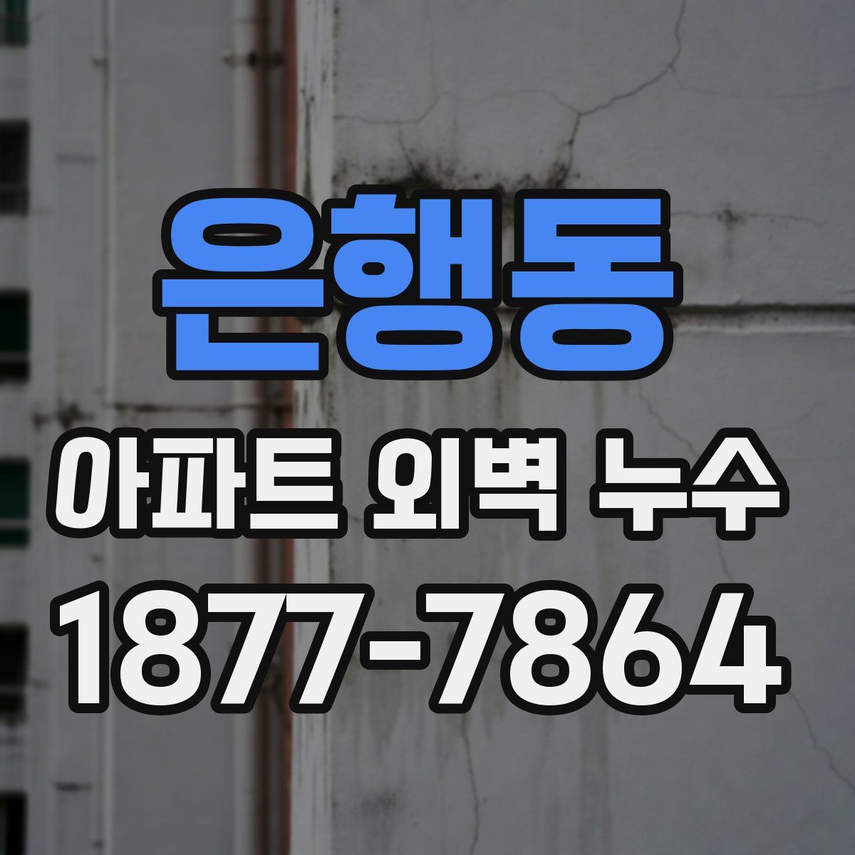 은행동 아파트 외벽 누수