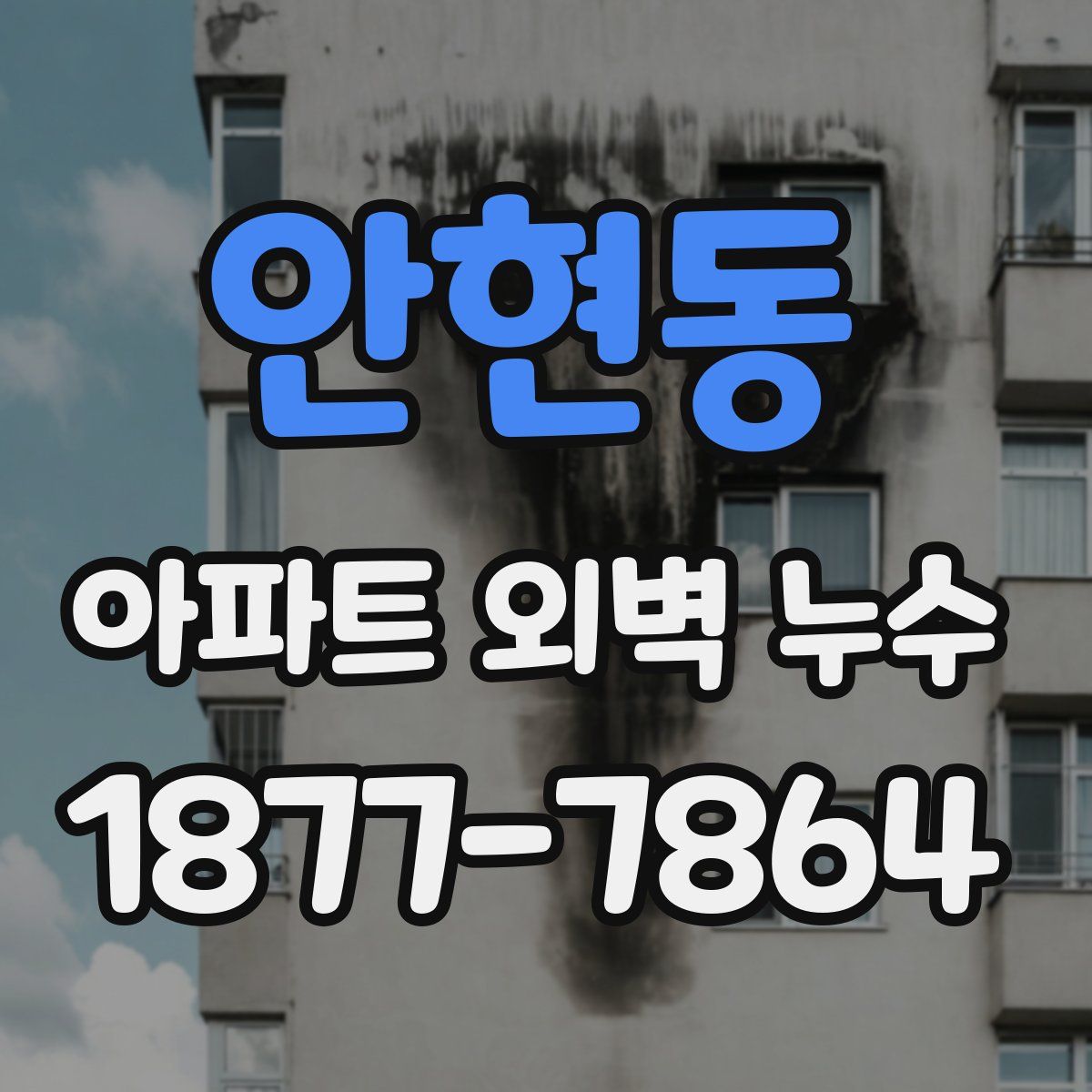 안현동 아파트 외벽 누수
