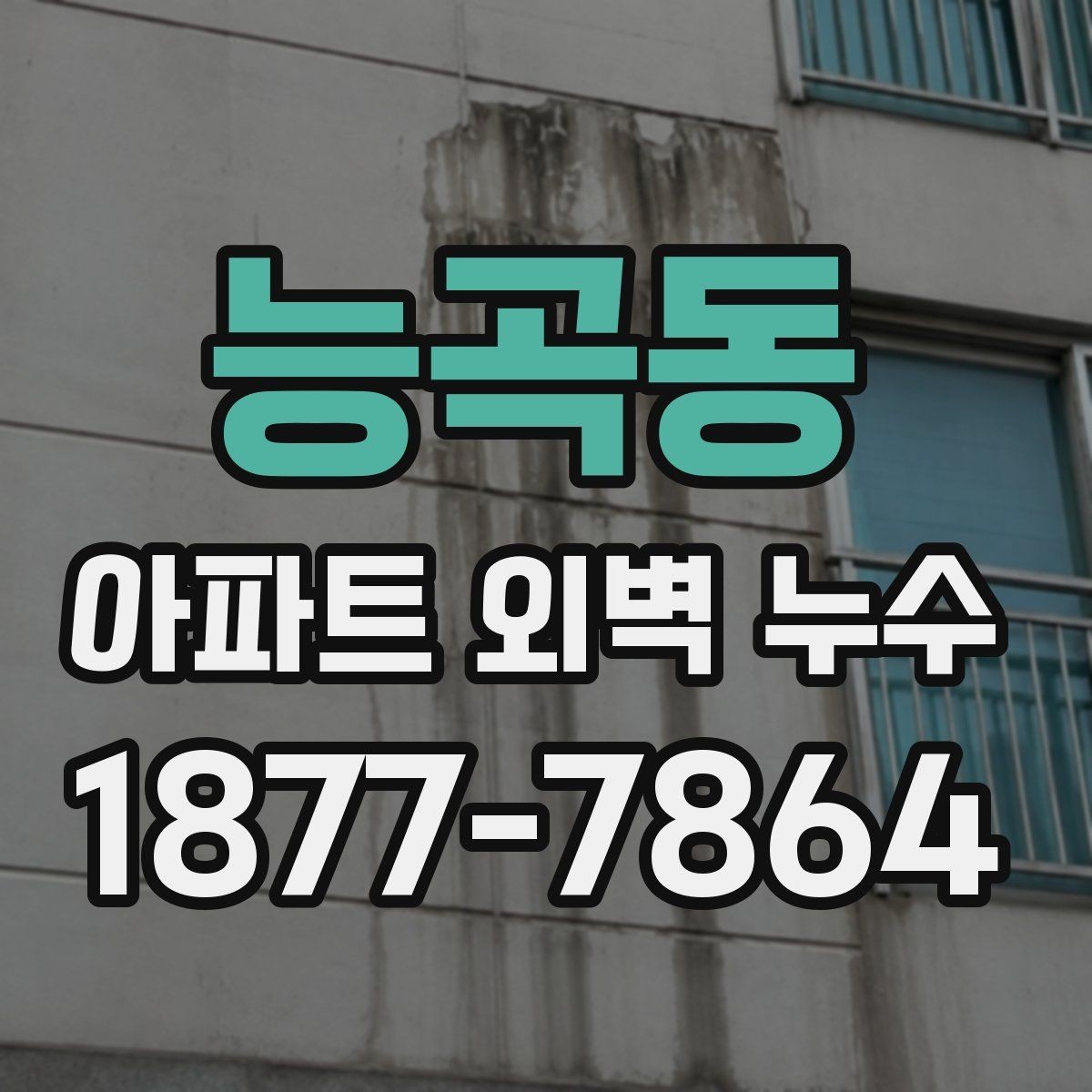 능곡동 아파트 외벽 누수 발생 후 실내 손상 확인 방법
