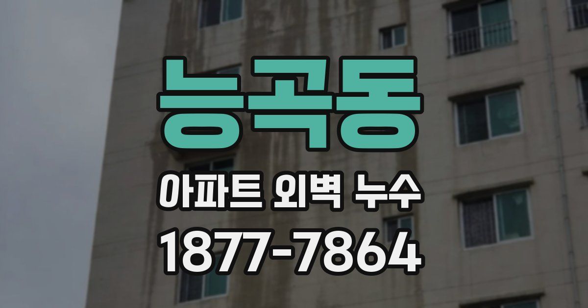 능곡동 아파트 외벽 누수