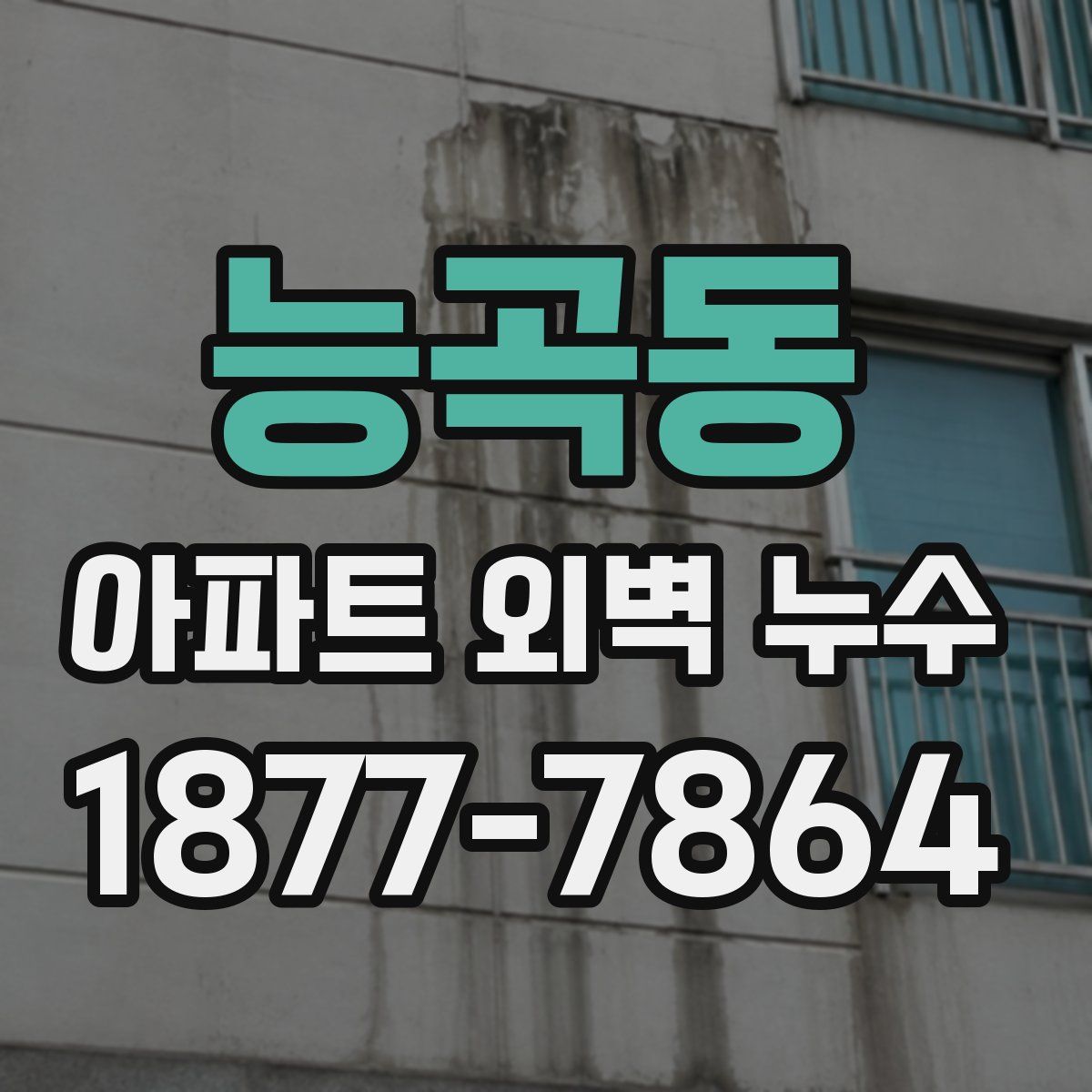 능곡동 아파트 외벽 누수