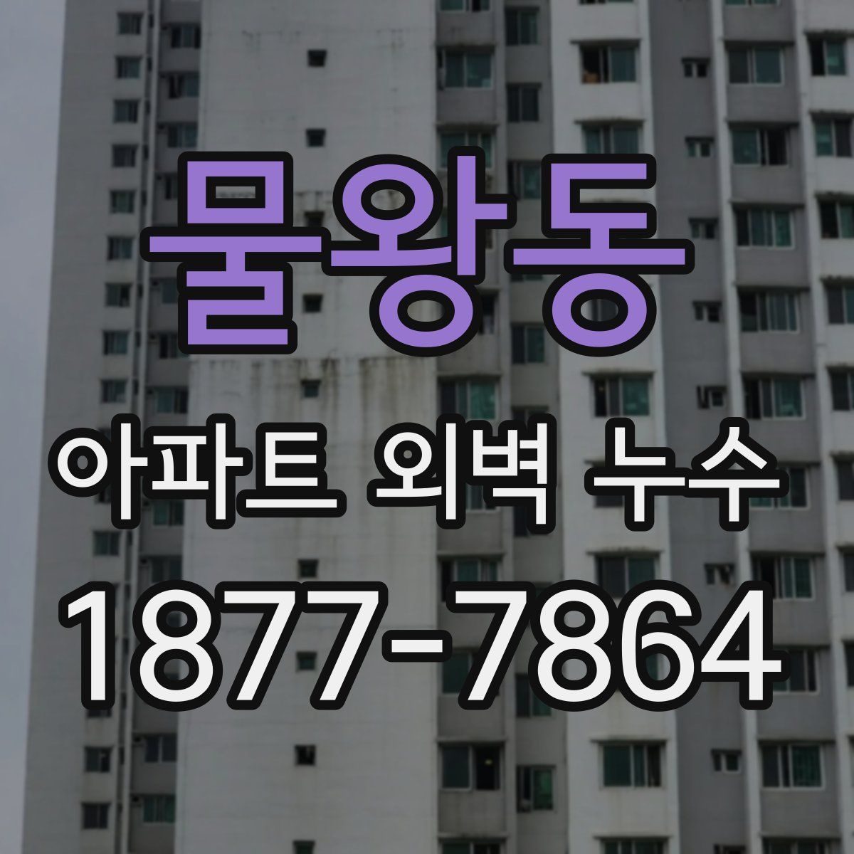 물왕동 아파트 외벽 누수