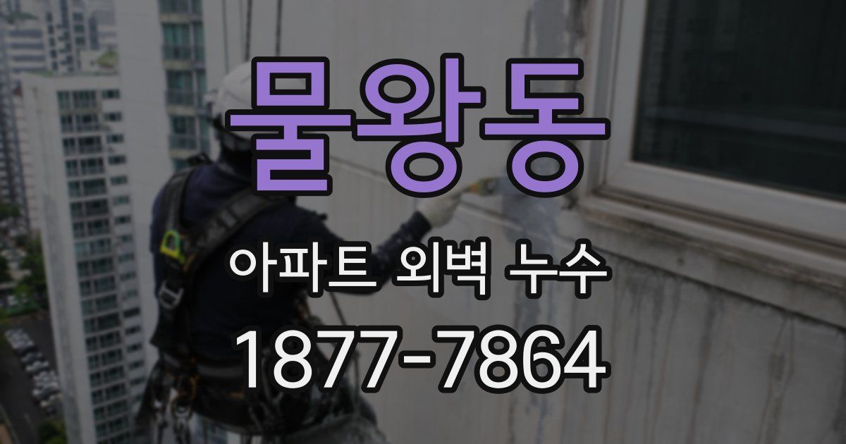 물왕동 아파트 외벽 누수