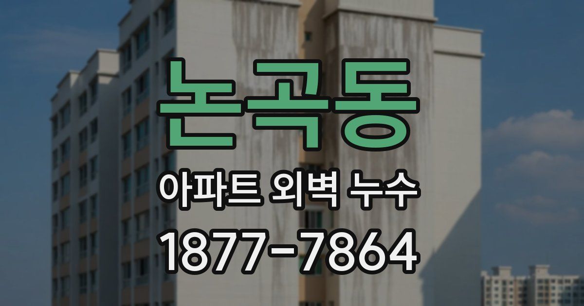 논곡동 아파트 외벽 누수