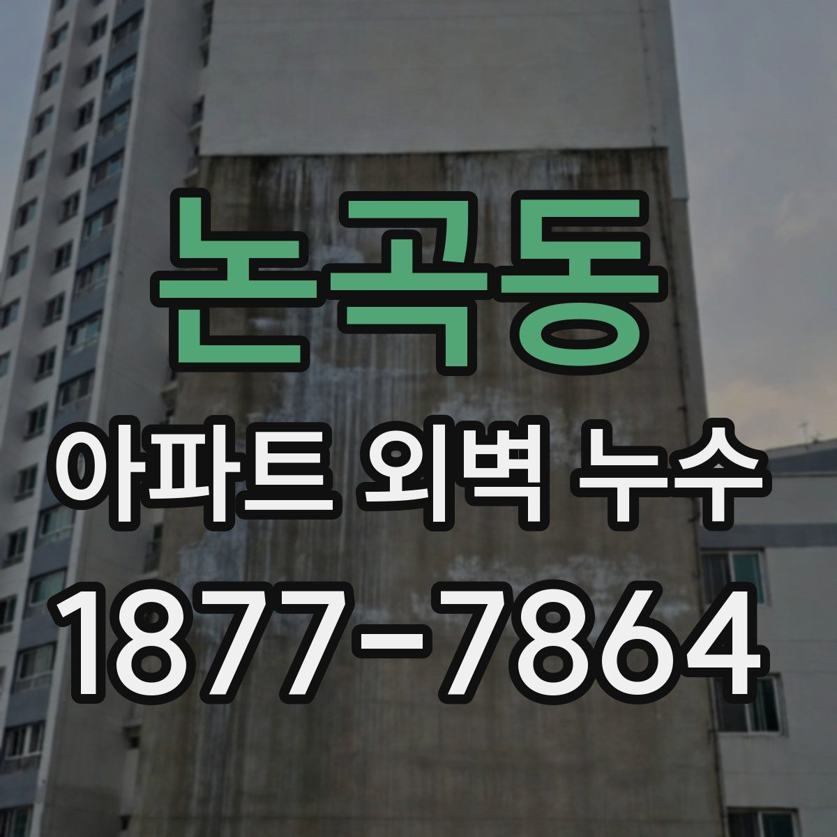 논곡동 아파트 외벽 누수
