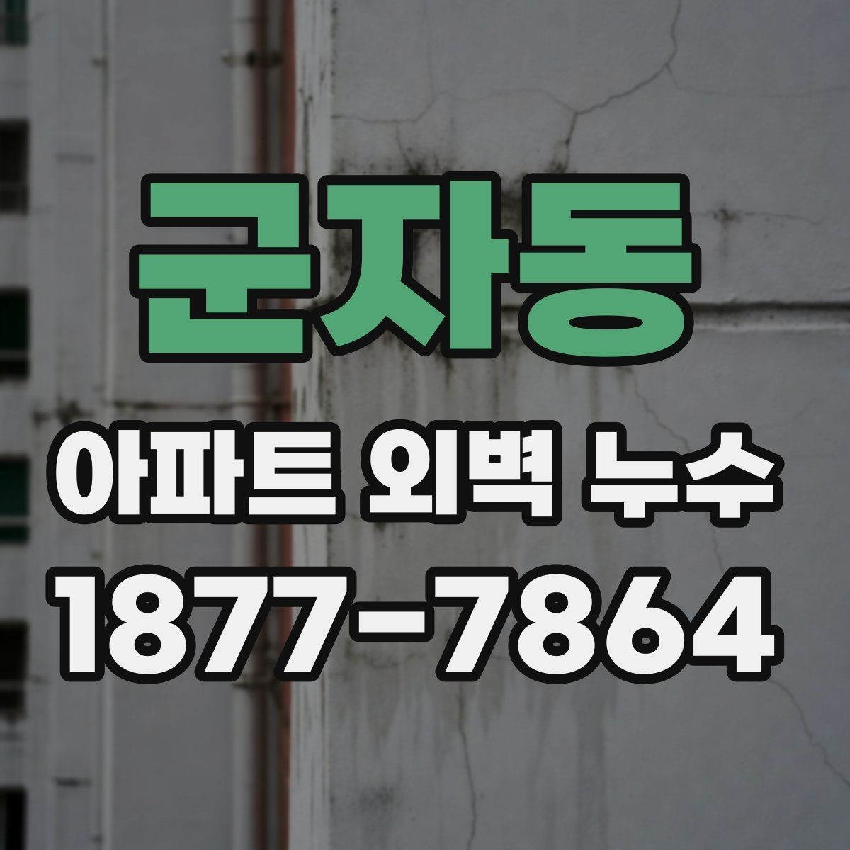 군자동 아파트 외벽 누수 보수 범위를 두고 확인할 쟁점