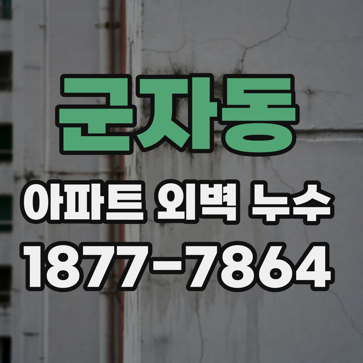 군자동 아파트 외벽 누수