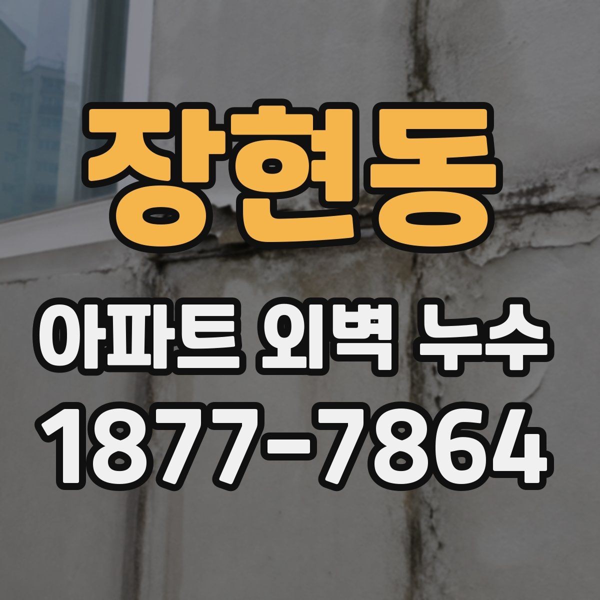장현동 아파트 외벽 누수 보수 전 확인할 사항