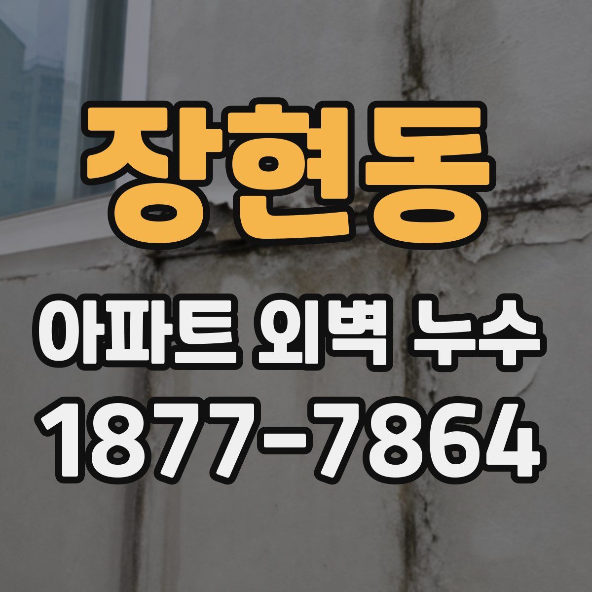 장현동 아파트 외벽 누수