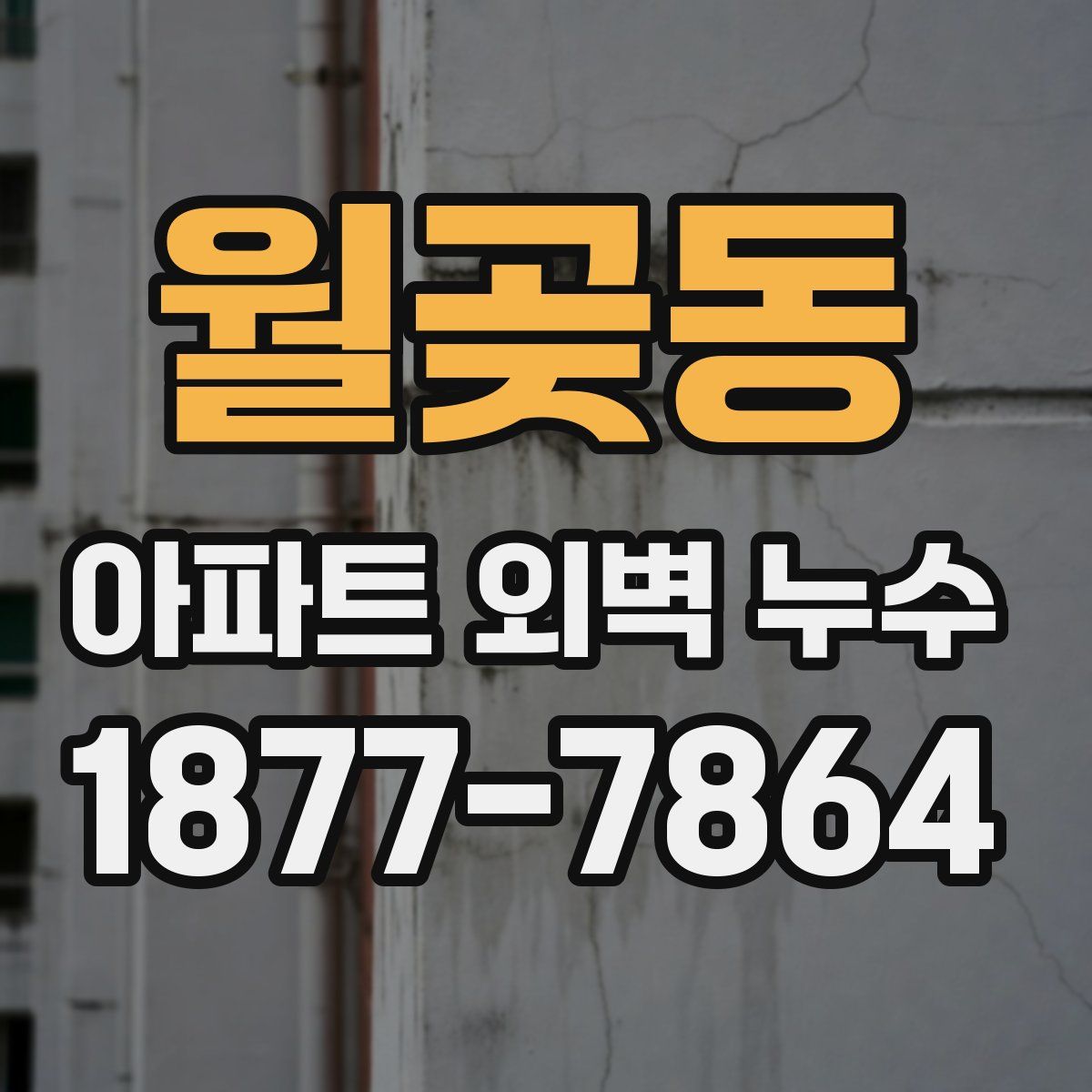 월곶동 아파트 외벽 누수