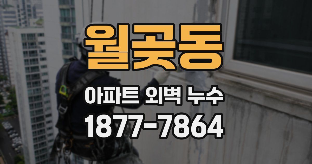 월곶동 아파트 외벽 누수