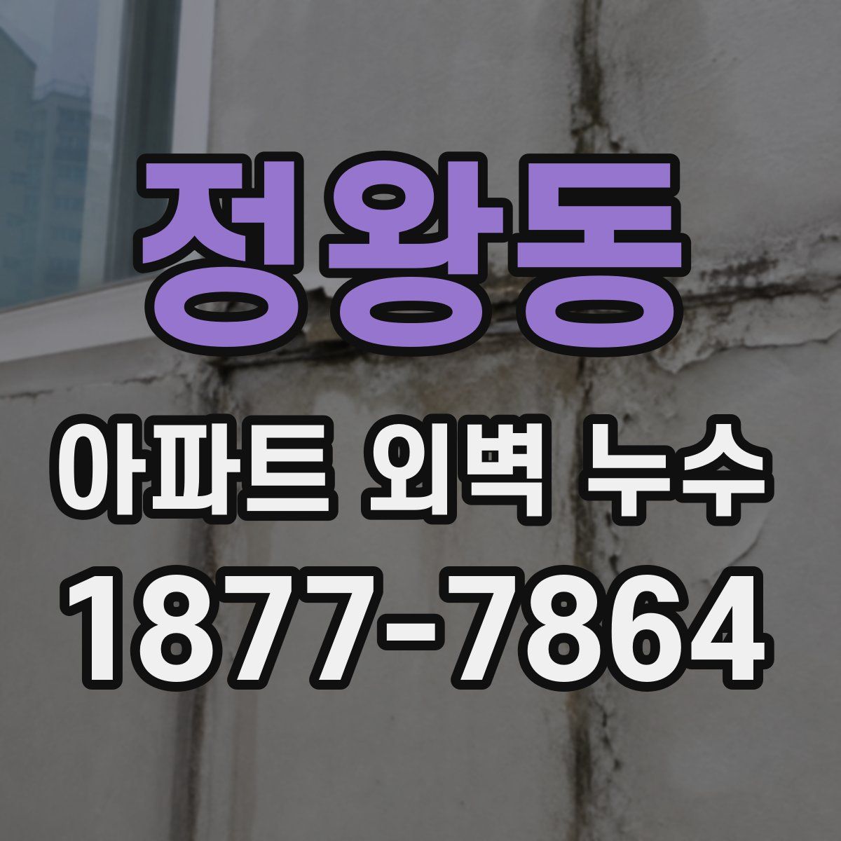 정왕동 아파트 외벽 누수