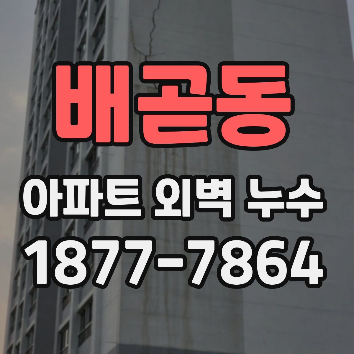 배곧동 아파트 외벽 누수