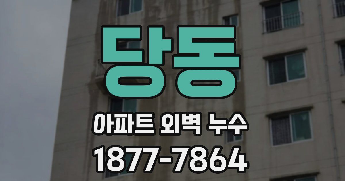 당동 아파트 외벽 누수
