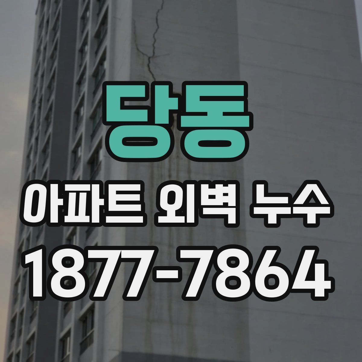 당동 아파트 외벽 누수