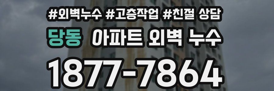 당동 아파트 외벽 누수